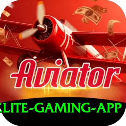 Bingo PKR Elite Gaming App - 2